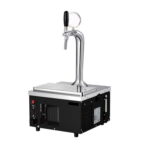 Two Burner Range-With Dhosa Plate