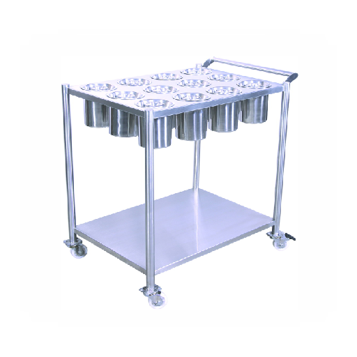 Two Burner Range-With Dhosa Plate